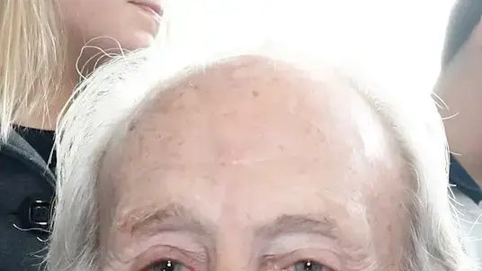 נח קליגר