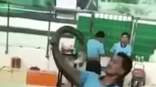 הוכש בידי נחש קינג קוברה