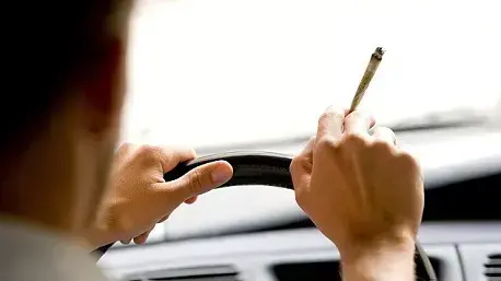 עישון קנאביס בנהיגה