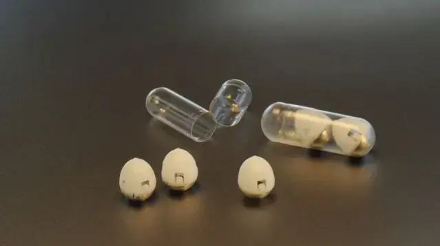כמוסות עם מחט מאינסולין שפותחו ב-MIT