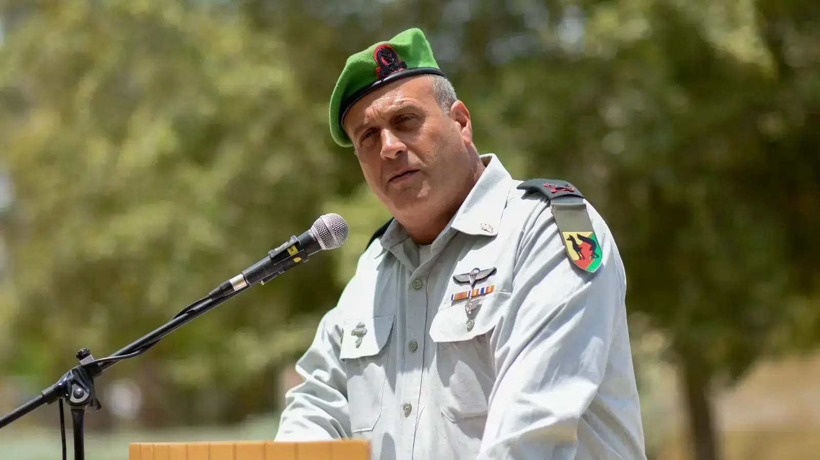 יהודה פוקס