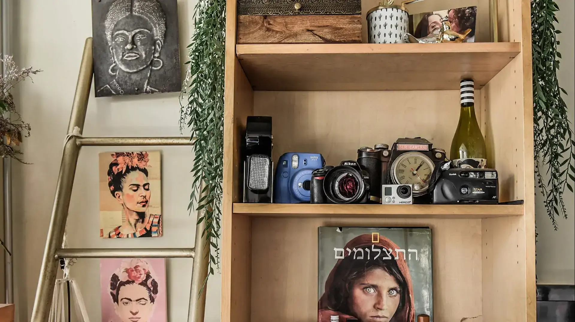 שכורות ומעוצבות אילנה