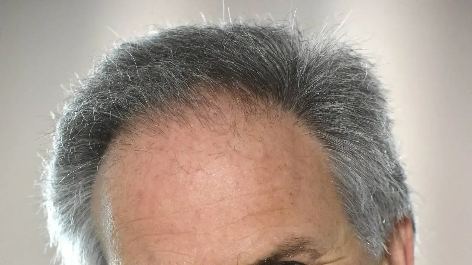 אבי נשר
