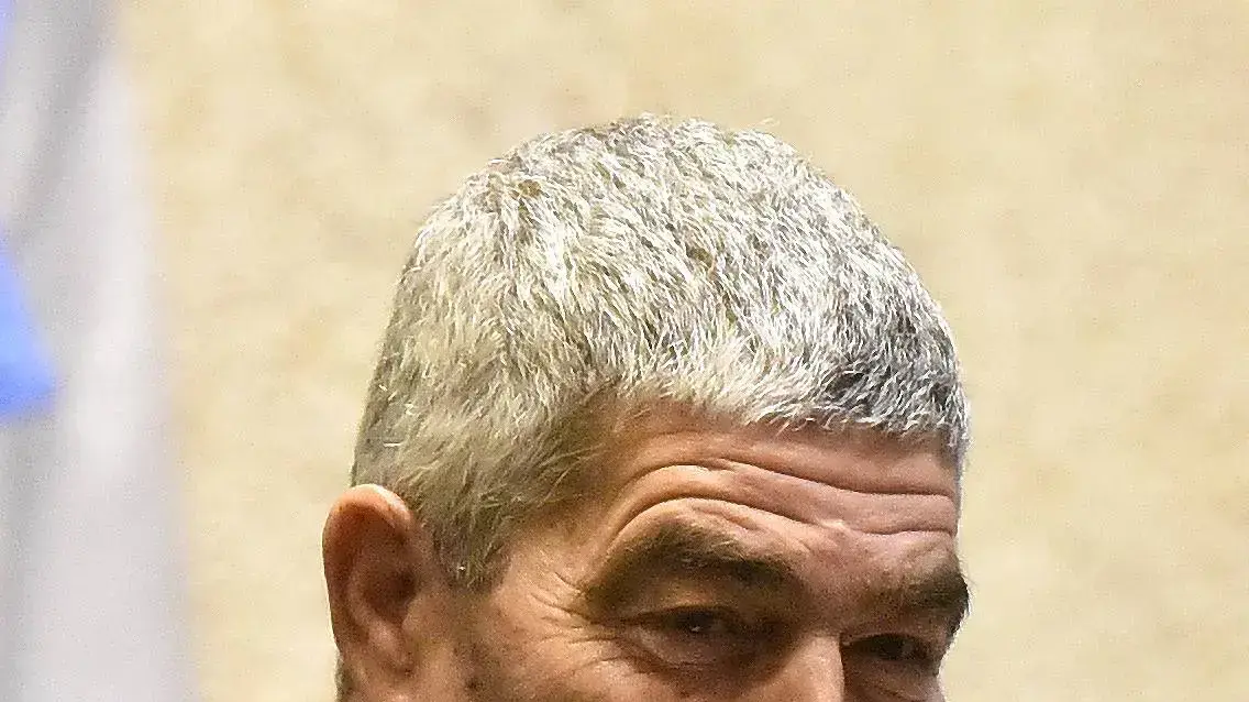 ח"כ טל רוסובמליאת הכנסת , 29 במאי 2019