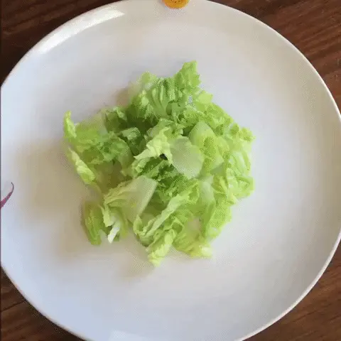 סלט ירקות סלט ירקות