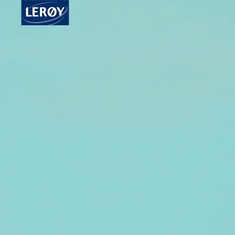 סלמון