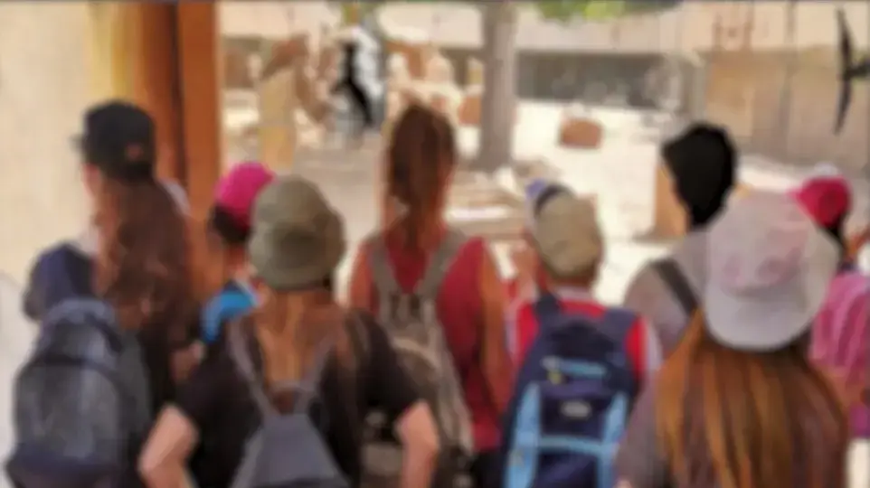 בית אורון בקריית טבעון