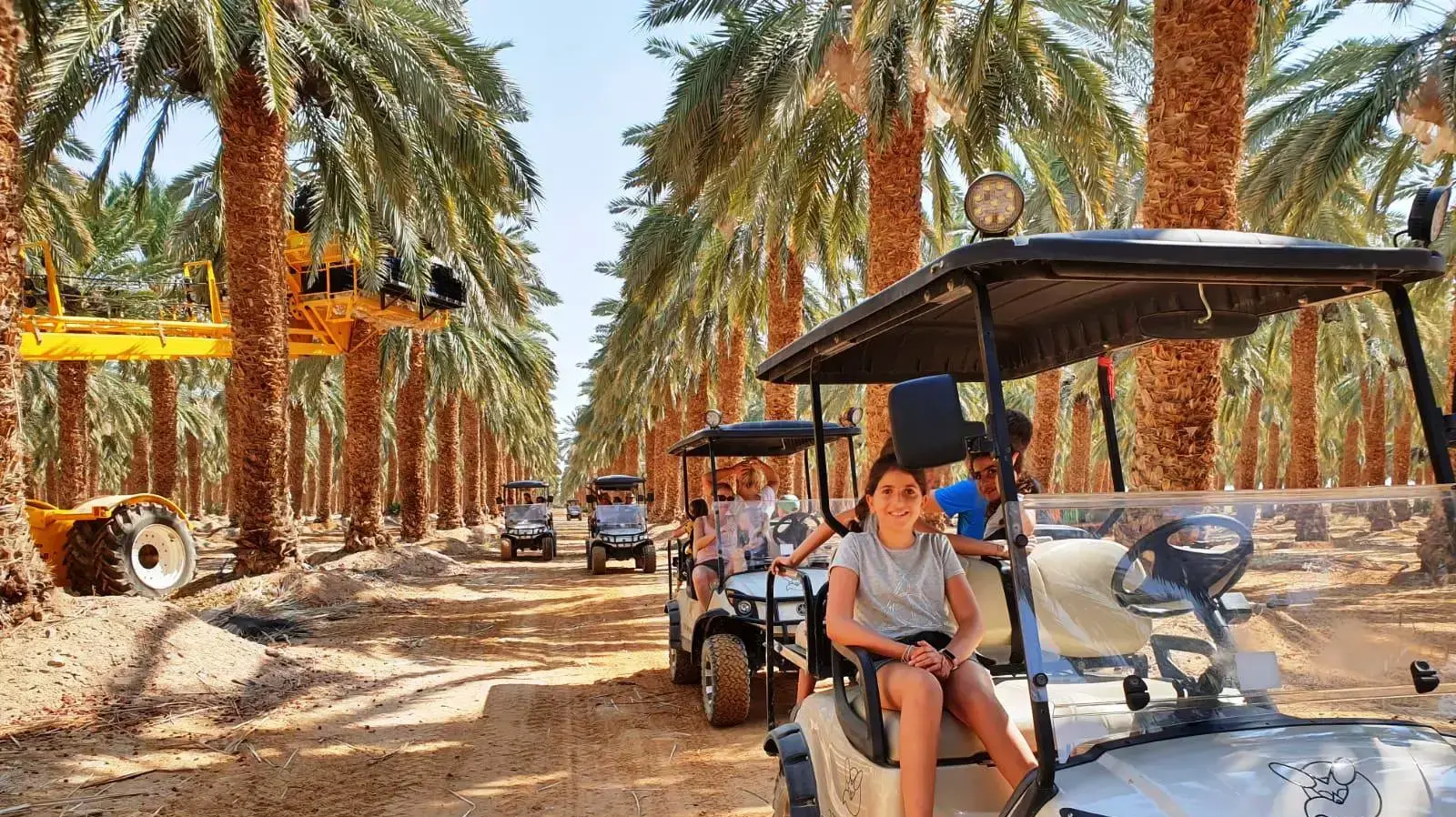 סיור במטע תמרים בערבה
