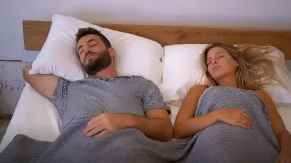 כרית פנדה