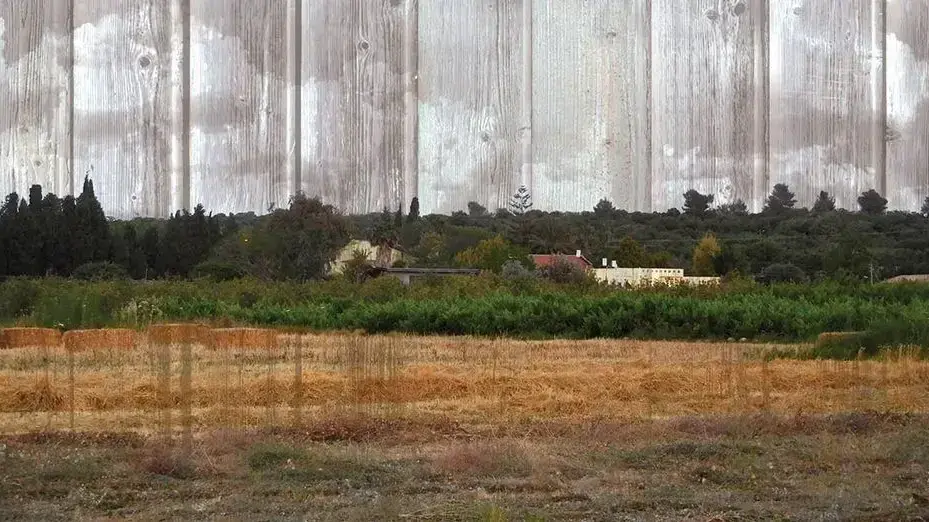 עיצוב כריכת הספר "חוה" של איגי דיין
