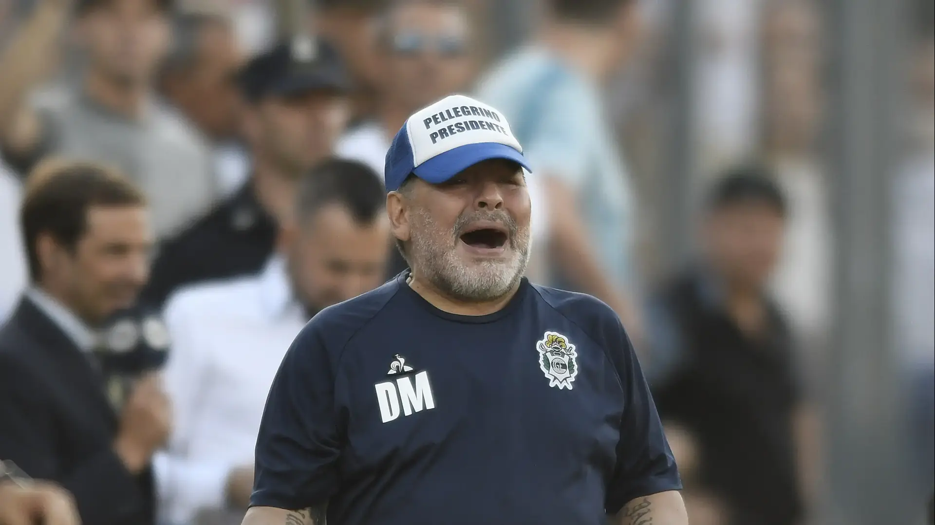דייגו מראדונה, מאמן חימנסיה דייגו מראדונה, מאמן חימנסיה