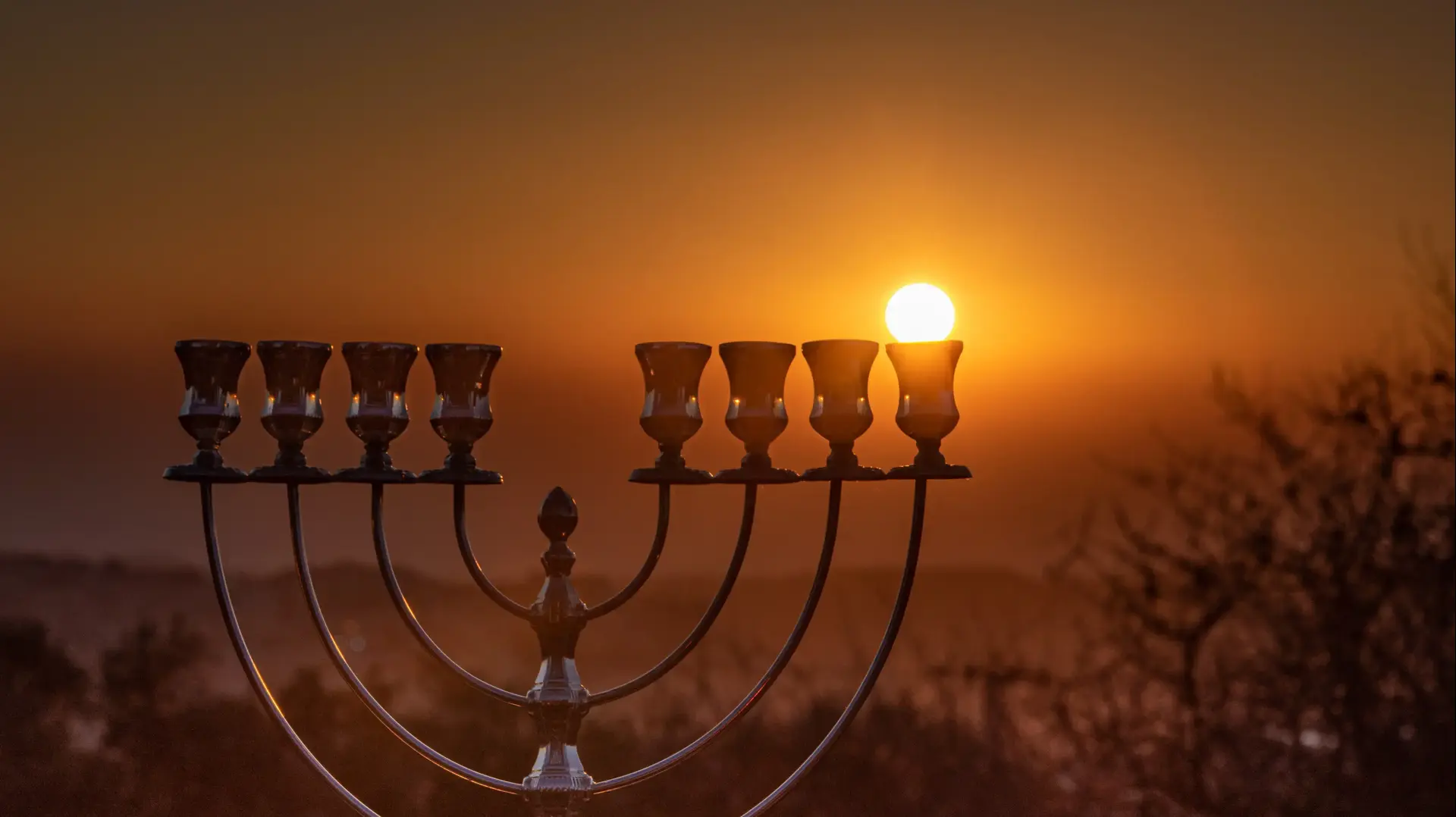 חנוכיה מיקי שפיצר חנוכיה מיקי שפיצר