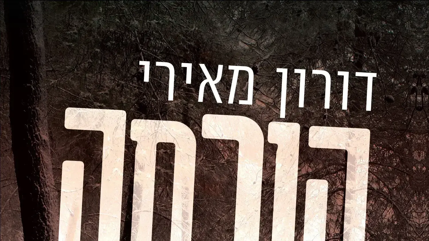 כריכת הספר "הוכחה אדומה" מאת דורון מאירי