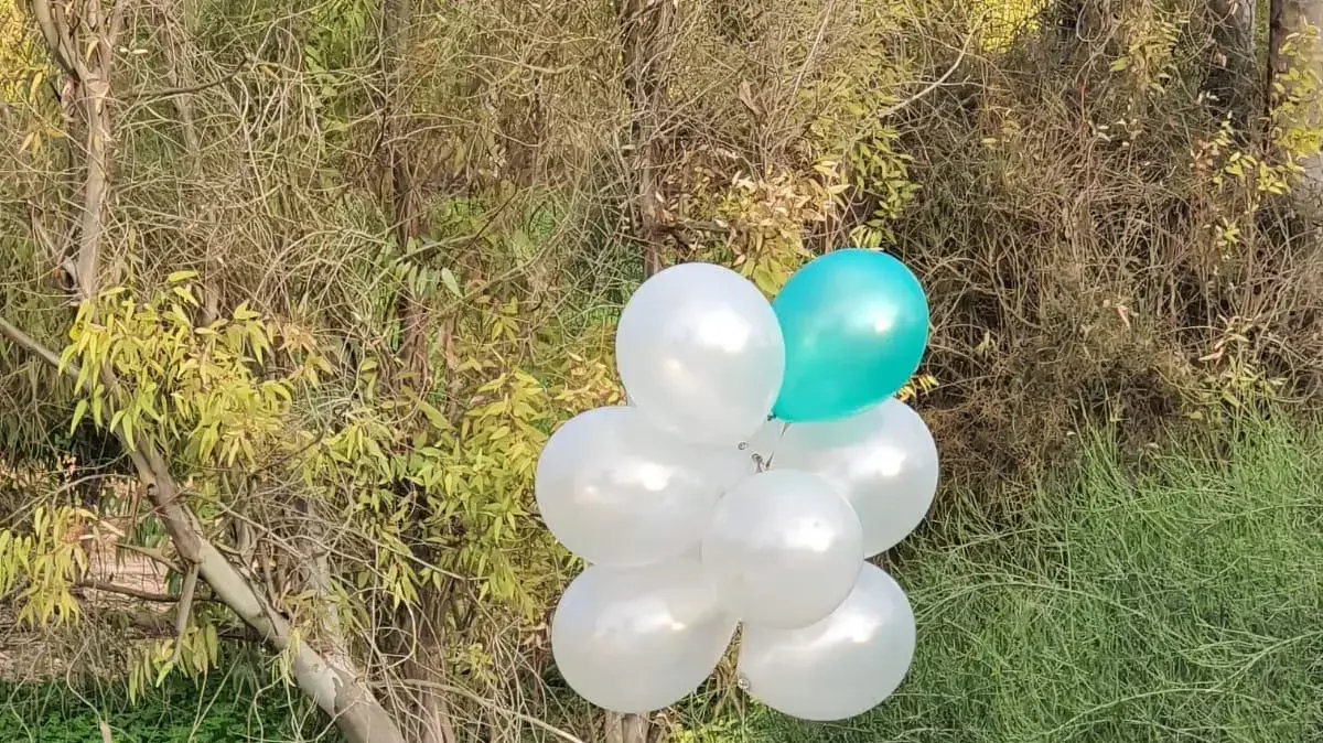 זר בלונים בשטח פתוח בתחום המועצה האזורית אשכול 16 בינואר 2020