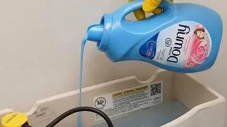 אנשים שמים מרכך כביסה באסלה