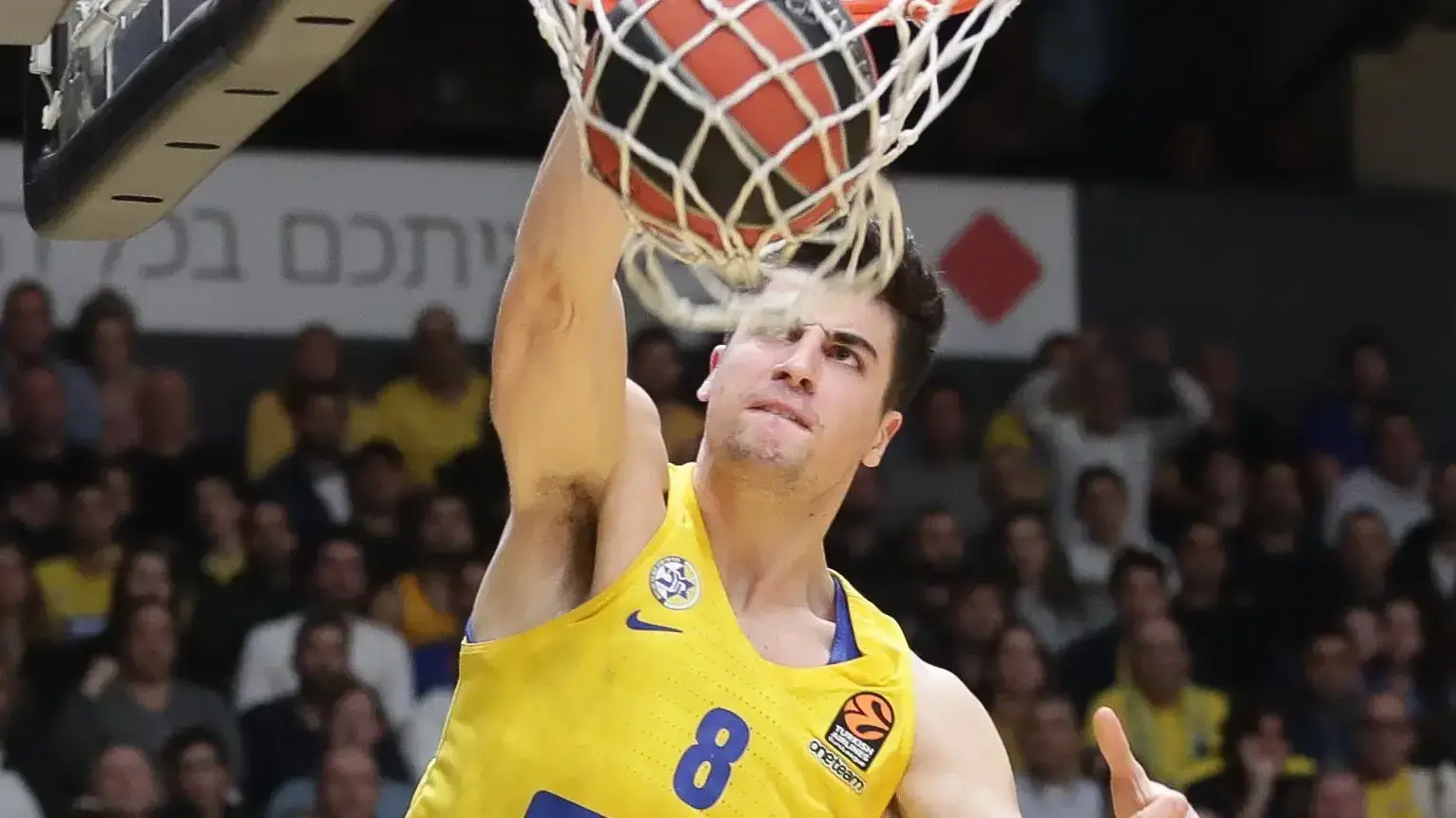 דני אבדיה, מכבי תל אביב
