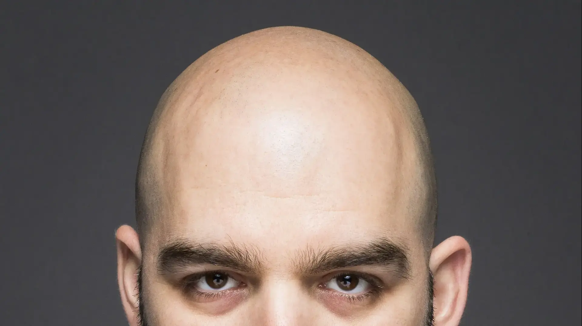 טל שפיגל