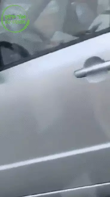 נוהגים עם תפילין