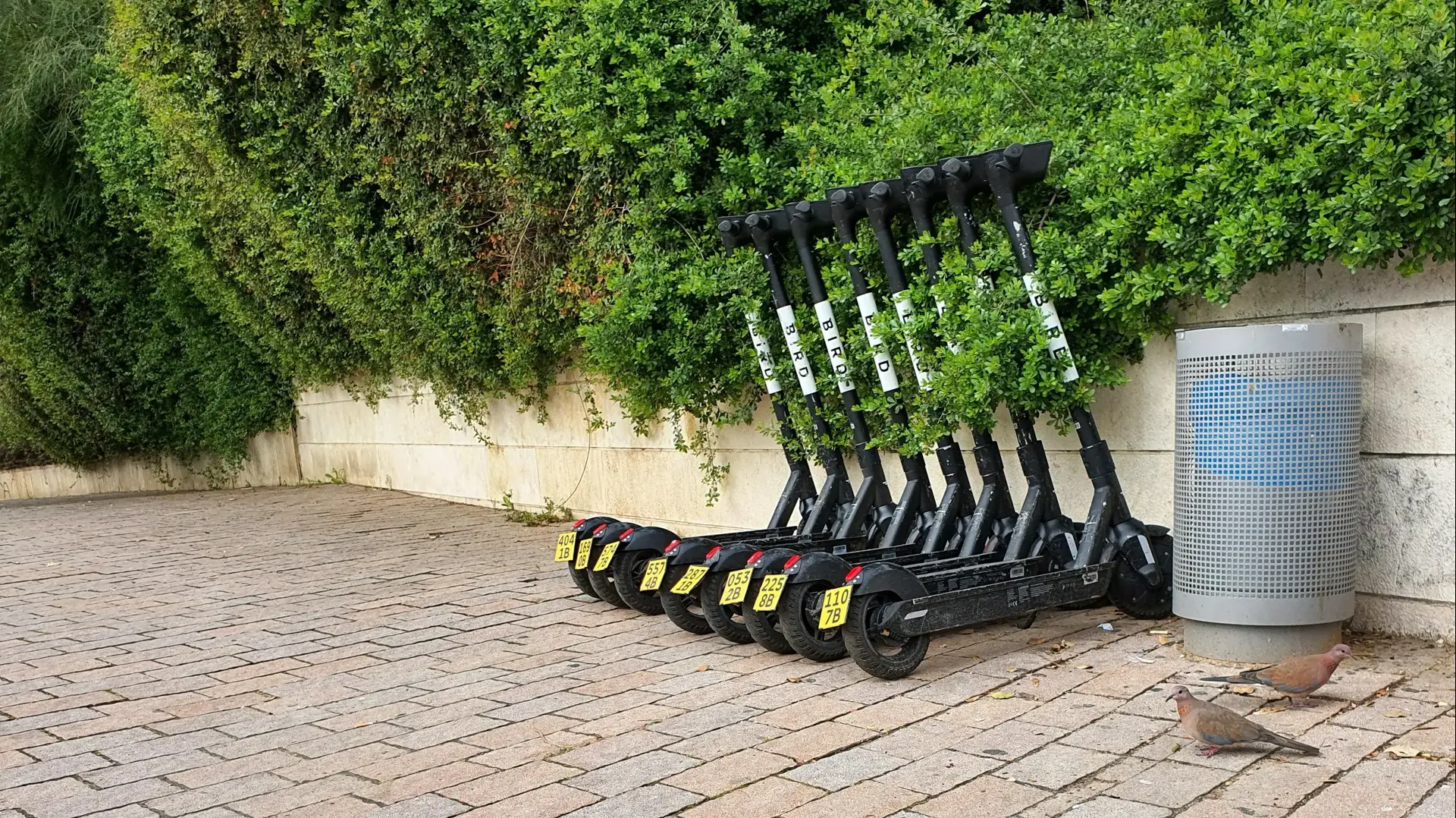 קורקינטים חשמליים