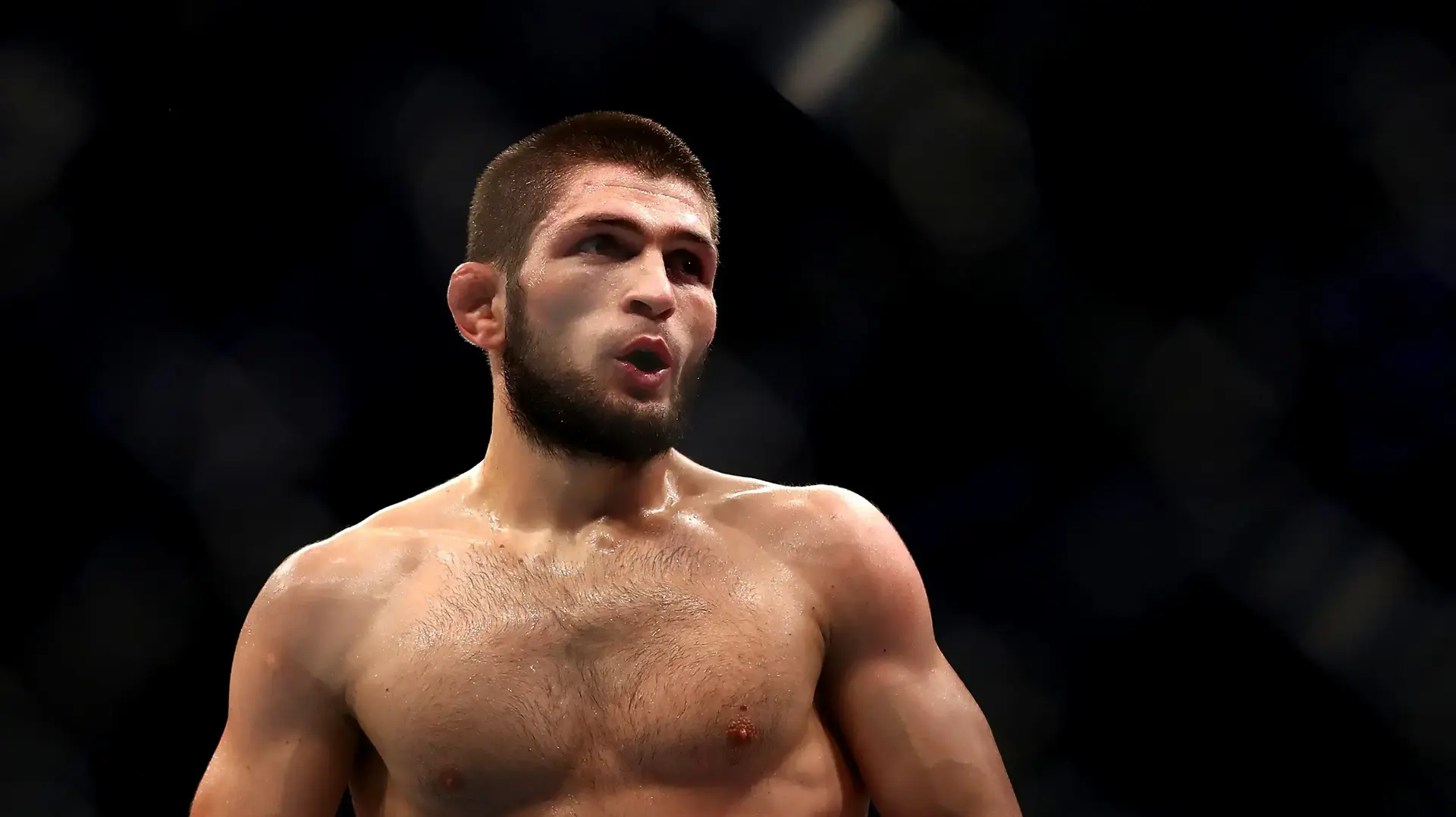 חביב נורמגומדוב לוחם MMA
