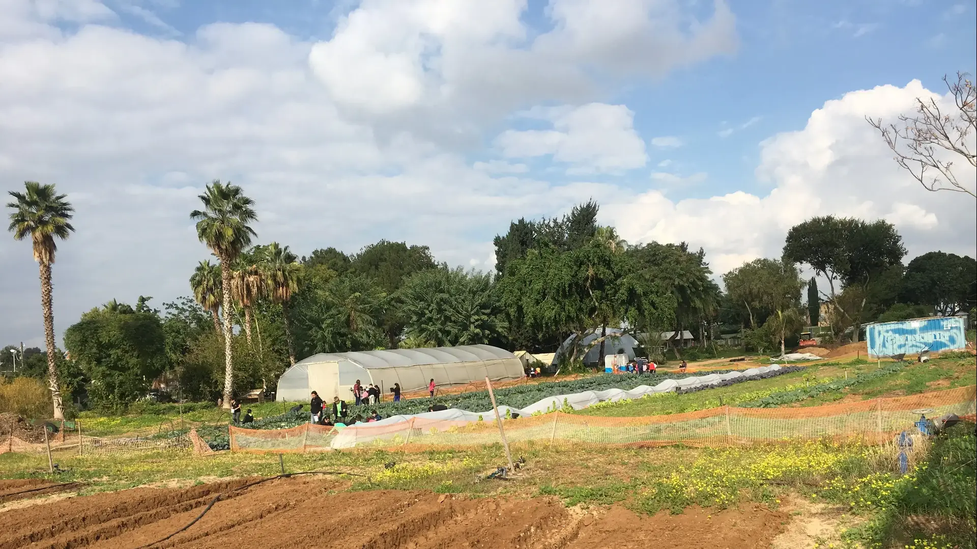 החווה החקלאית הלימודית.