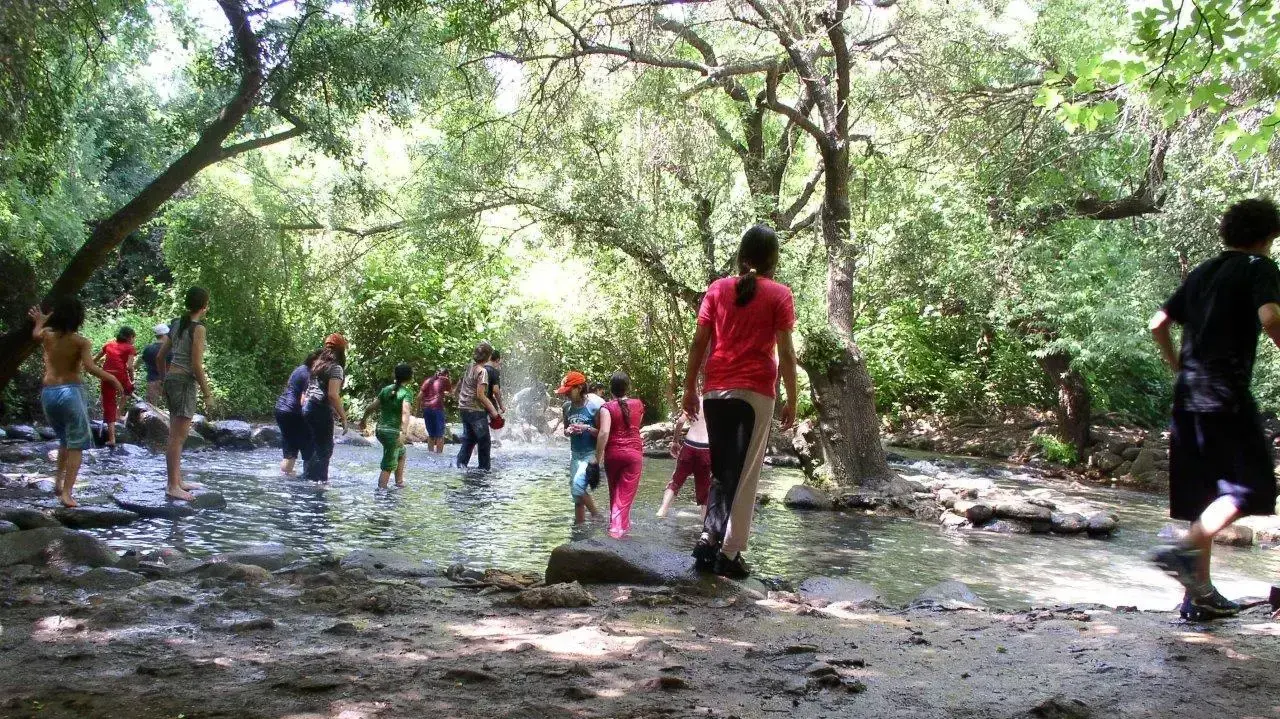 שמורת טבע תל דן