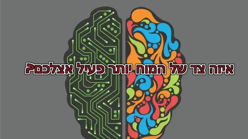 איזה צד של המוח יותר פעיל אצלכם?