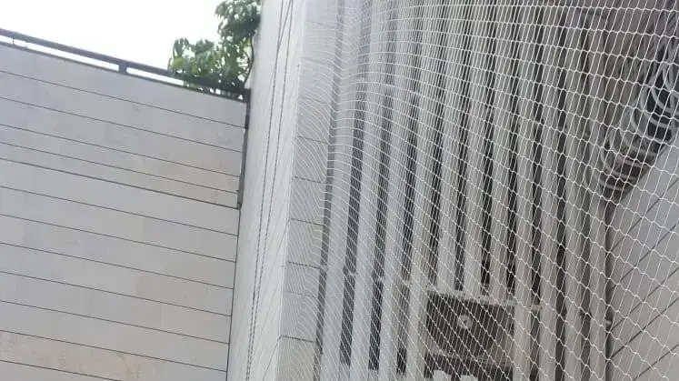 נדב הרחקת יונים נדב הרחקת יונים