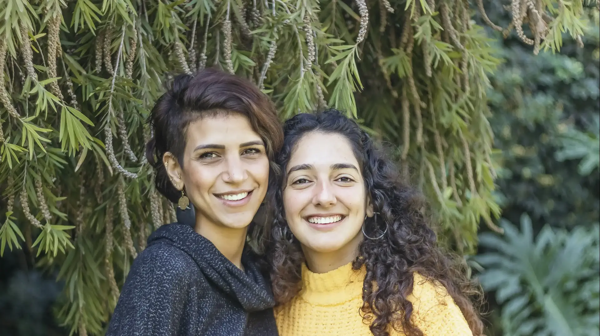 מכללת אורנים מכללת אורנים