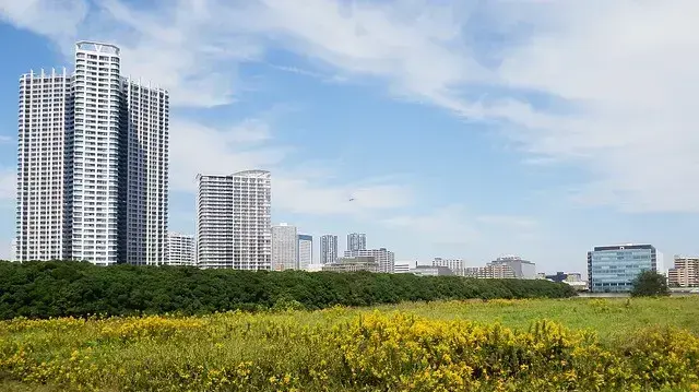 קרקע חקלאית