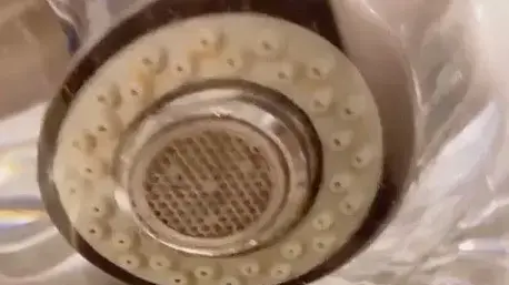 טריק להסרת אבנית מברזים