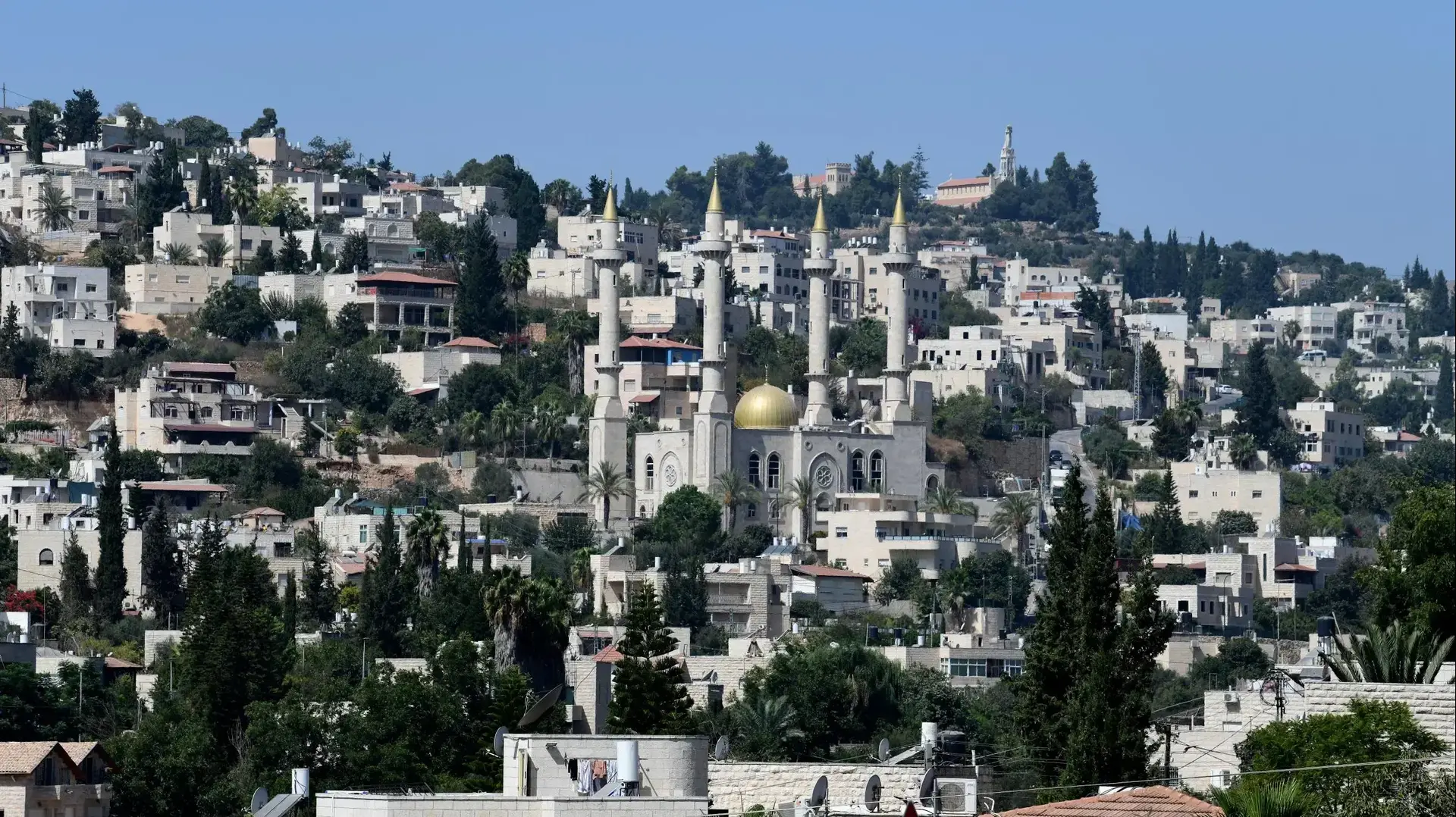 אבו גוש