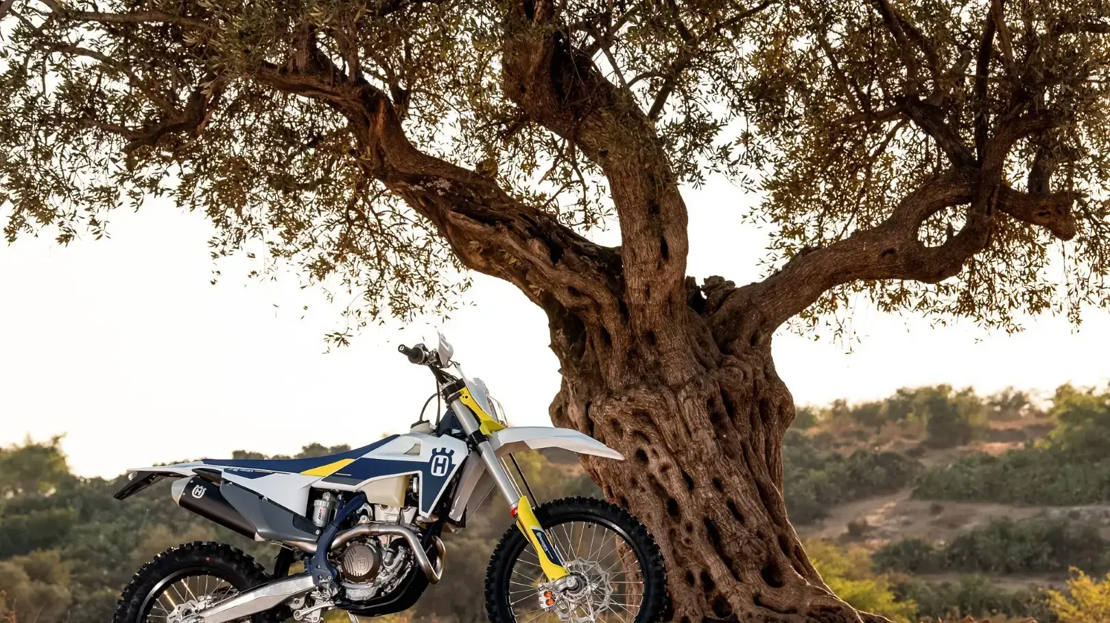 דגמי הוסקוורנה 2021