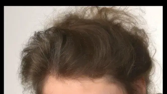 שירית לי וייס