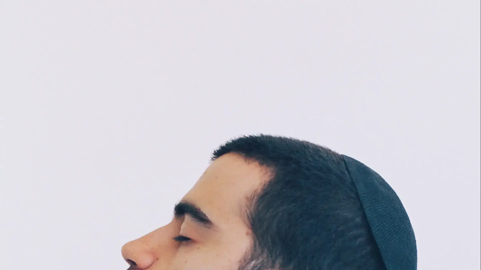 טל עבודי