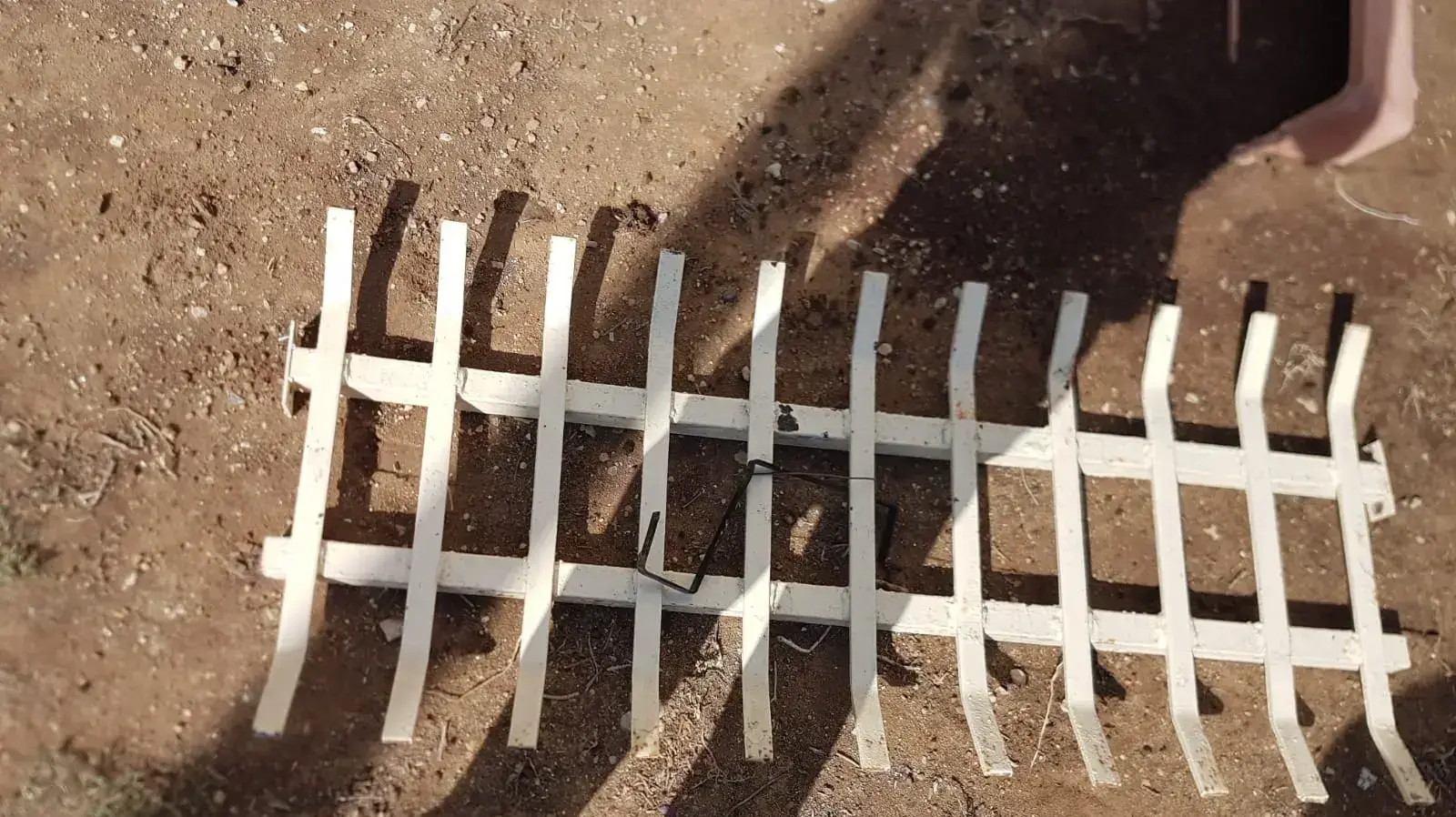 צעירה נפלה למותה מבניין במצפה רמון אחרי שנשענה על אדן החלון והסורגים נעקרו ממקומם. 10 בנובמבר 2020