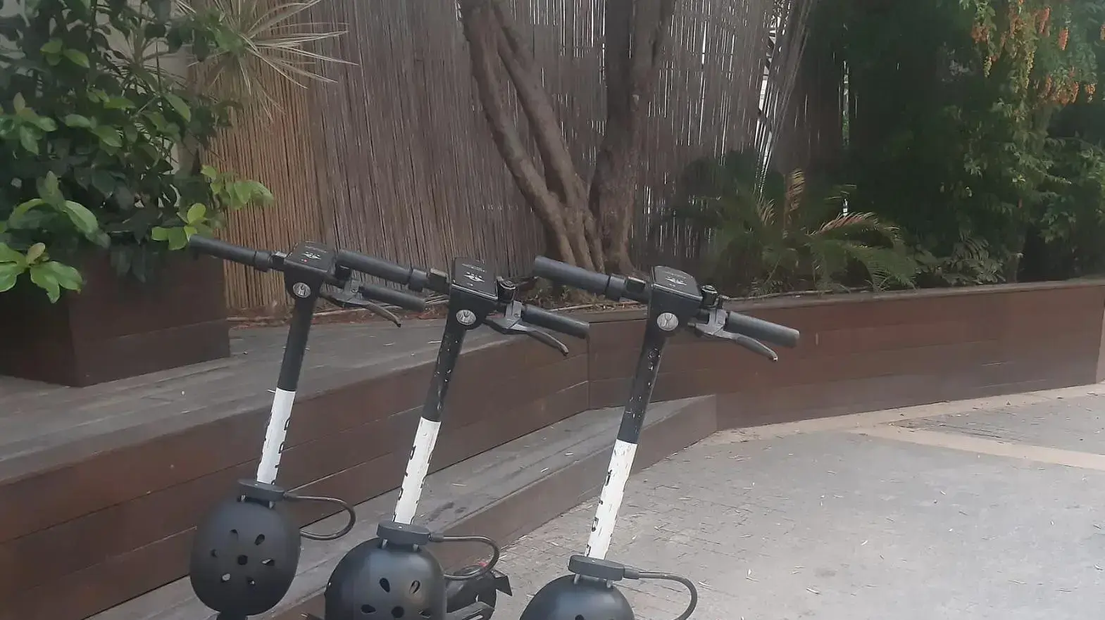 קסדות Bird