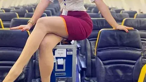דיילת מוכרת שירותי סקס בטיסות?
