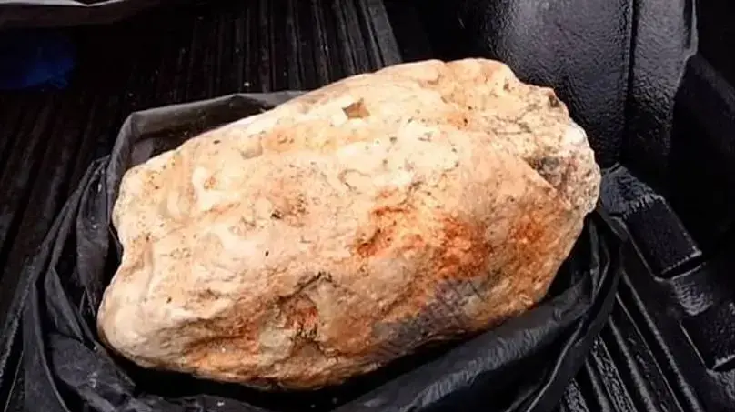 דייג תאילנדי עני מצא את קיא הלווייתנים הגדול בעולם