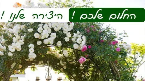 דורון הגנן