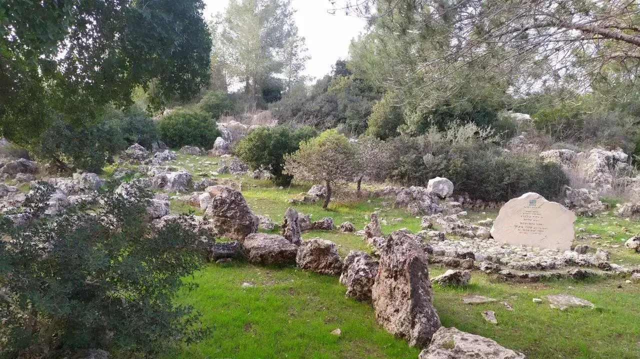 הגן היפני בדרך דיפנבייקר