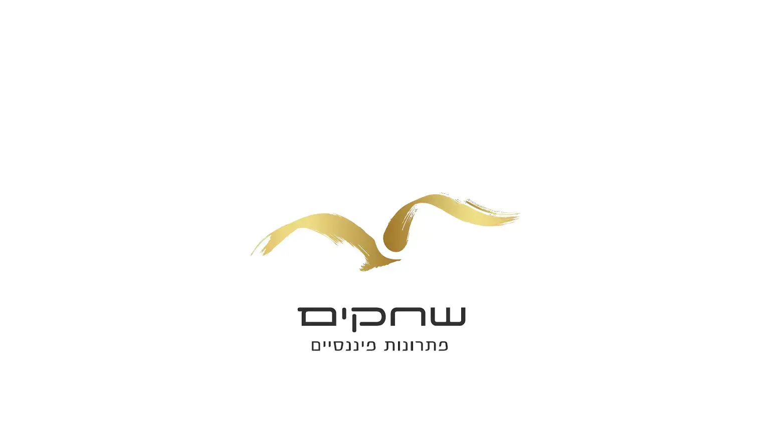 שחקים פתרונות פיננסיים
