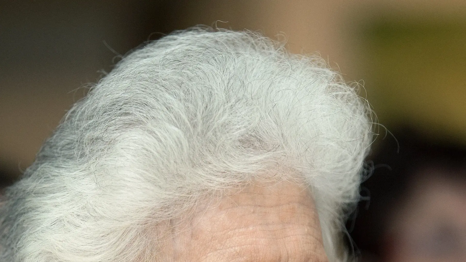 רות דיין, 2012