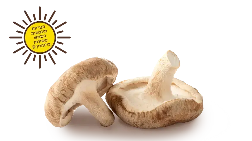 חוות תקוע 2