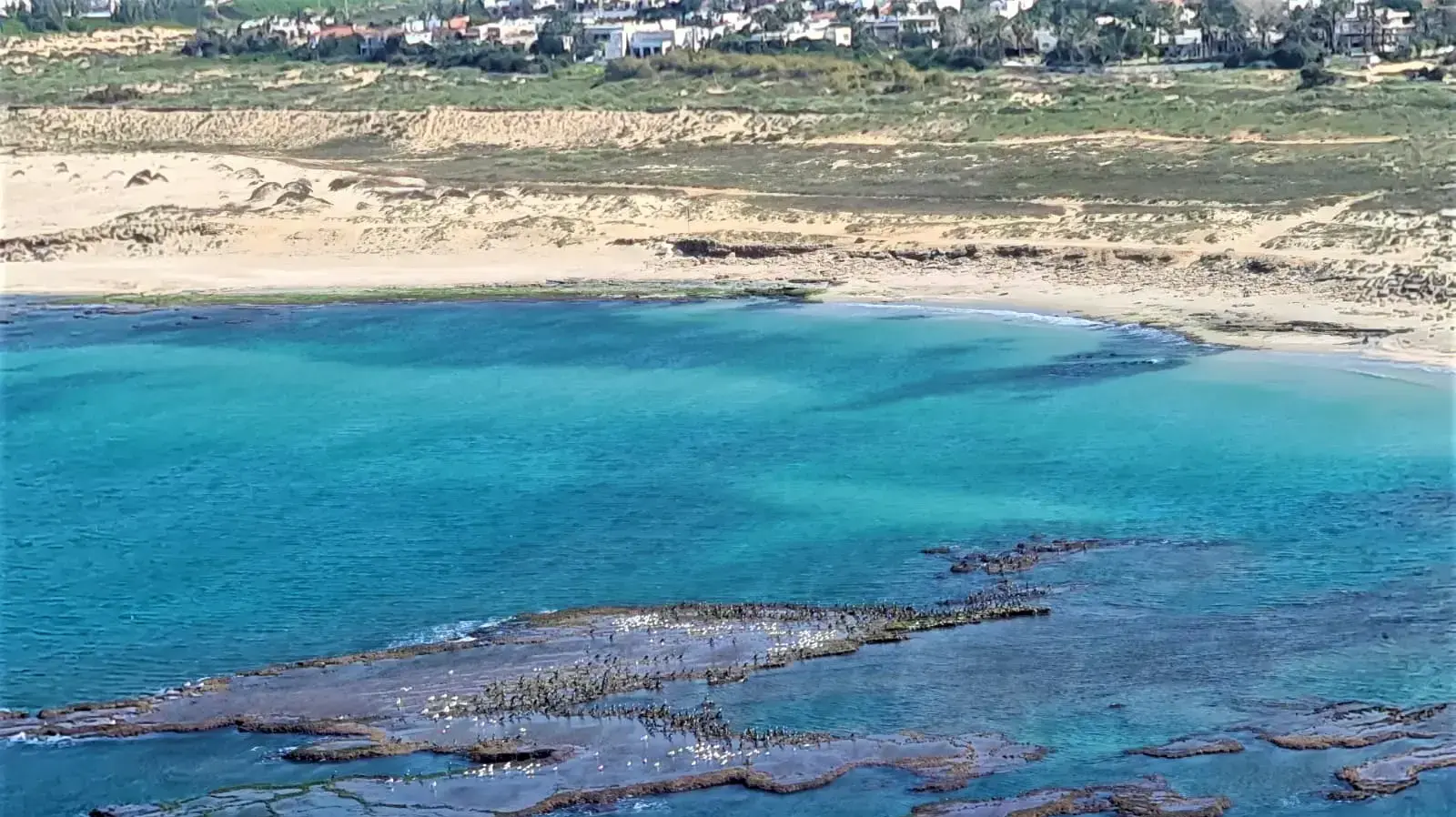 חוף קיסריה שלא נפגע באסון הזפת, 22.2.21