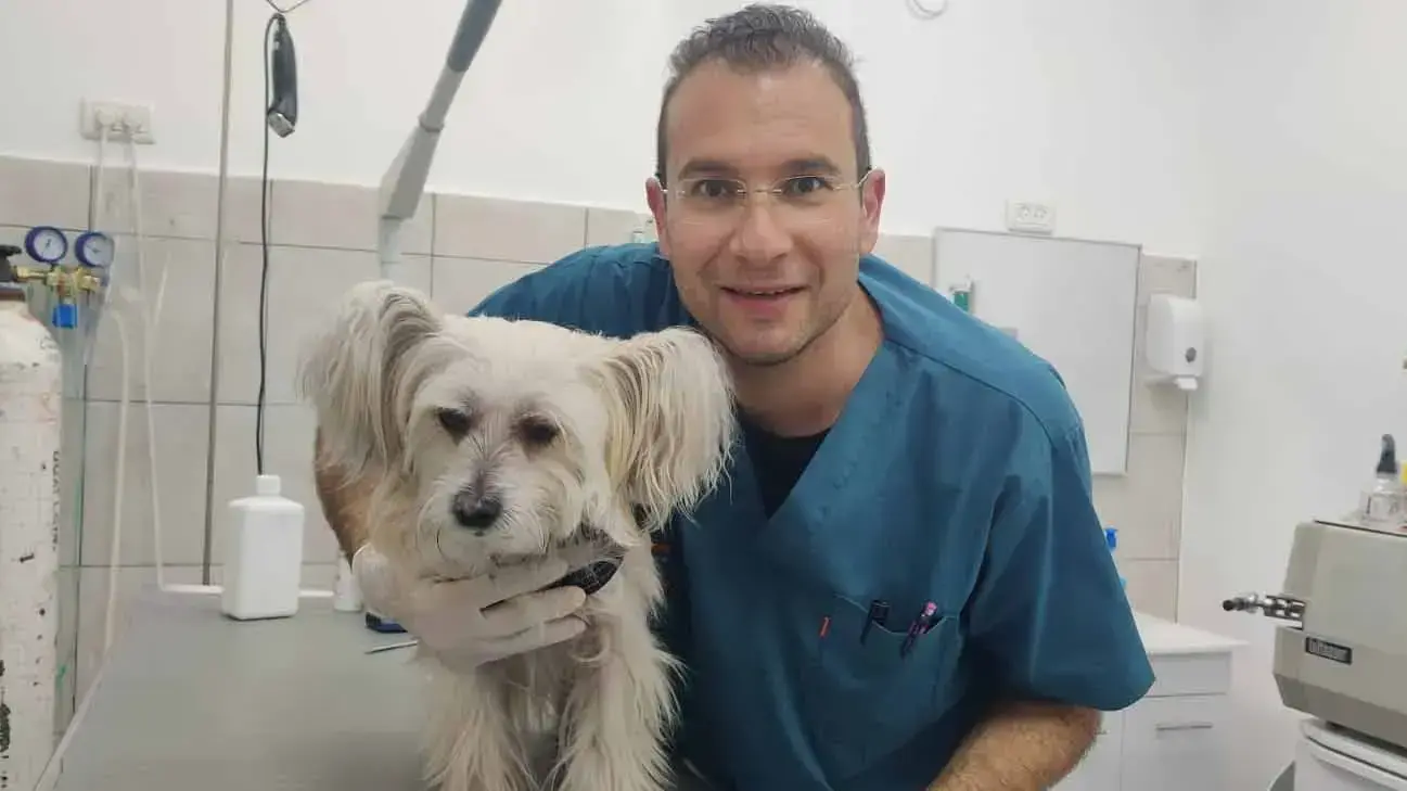 וואסים ג'ראיסי