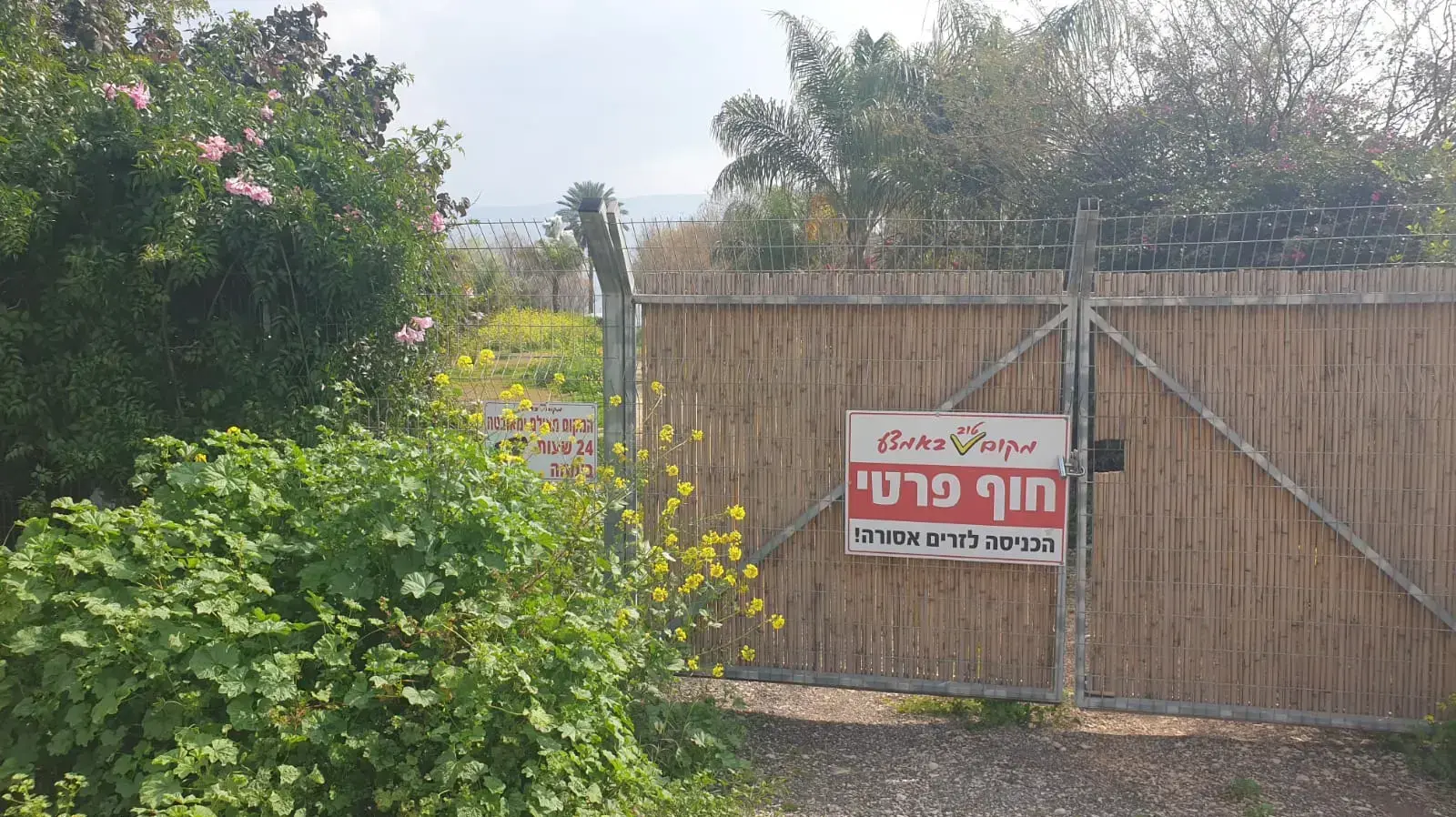 מבט לחלקה שמוצעת למכירה בכנרת