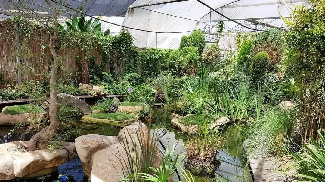 הגן היפני במשתלת רגב
