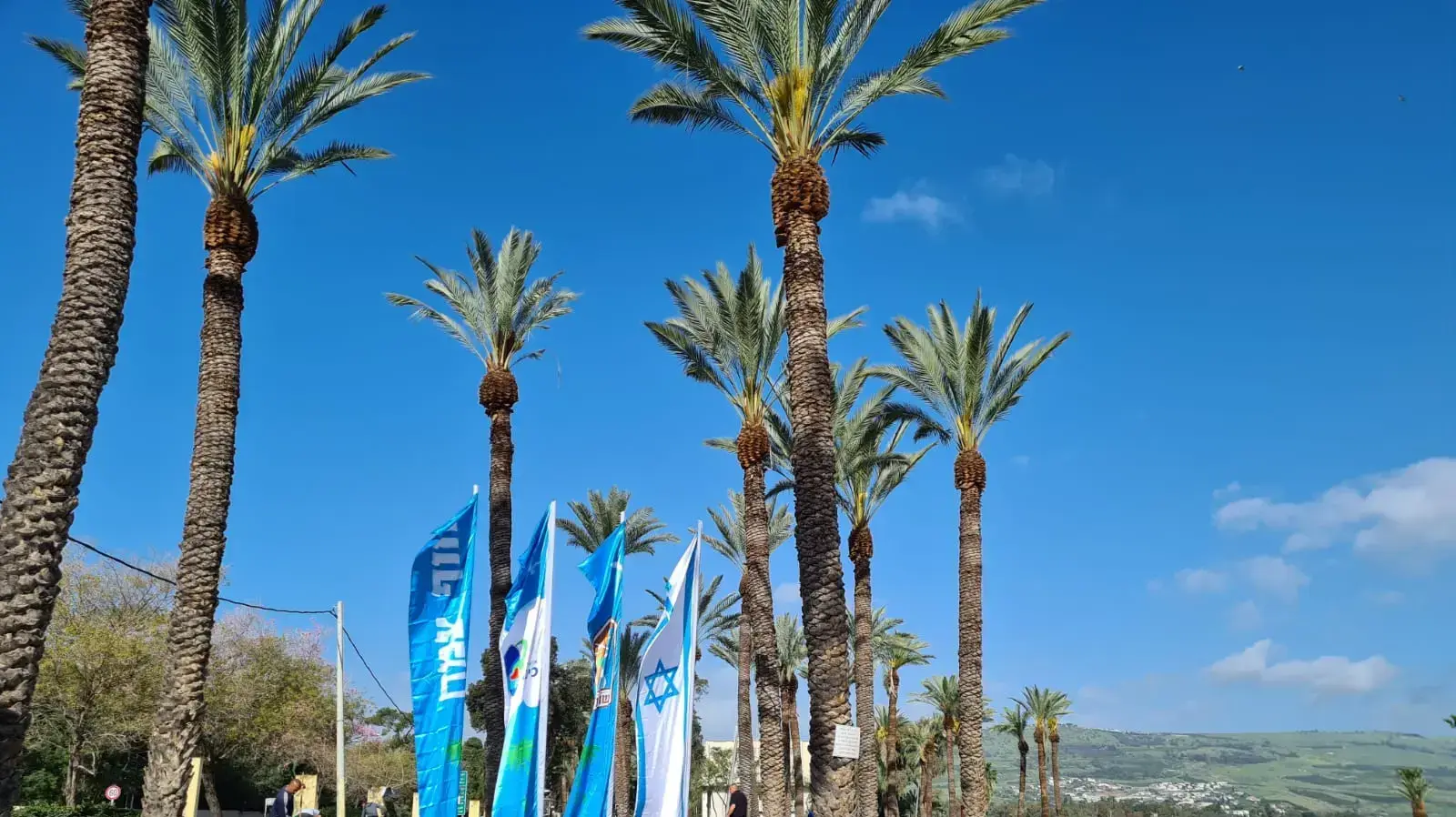 חוף צמח המשופץ