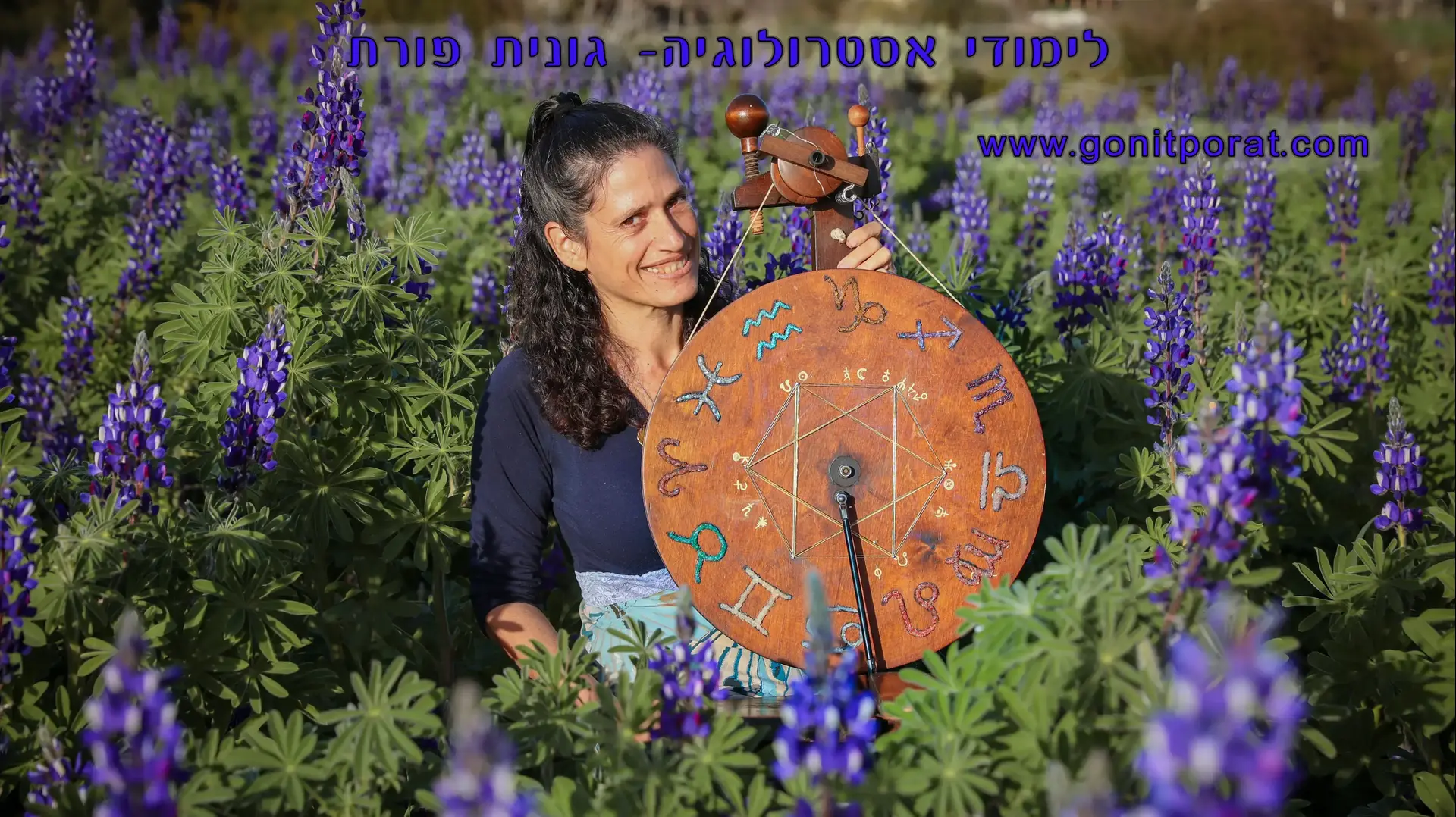 גונית פורת